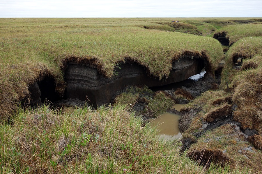 Thermo-erosion gully, Lena Delta, Russia Thermo-erosion gully