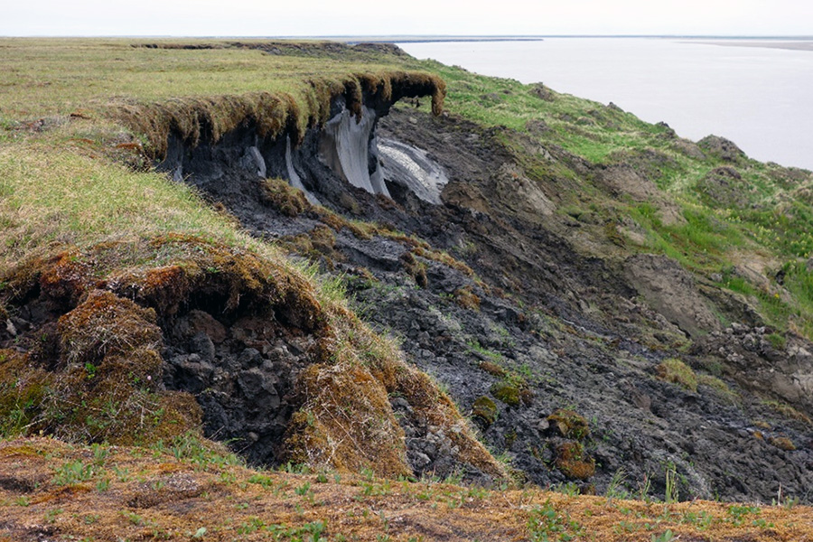 Yedoma cliff, Lena Delta, Russia Yedoma cliff